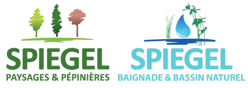 Paysages Spiegel