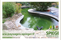 BASSIN 2 | Paysages Spiegel Création de bassins à poissons à Sélestat et Colmar Benfeld 1