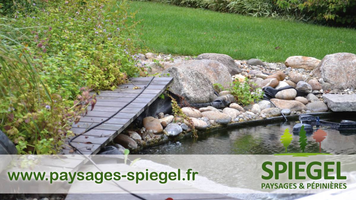 BASSIN 0 | Paysages Spiegel Création de bassins à poissons à Sélestat et Colmar Wintzenheim 0