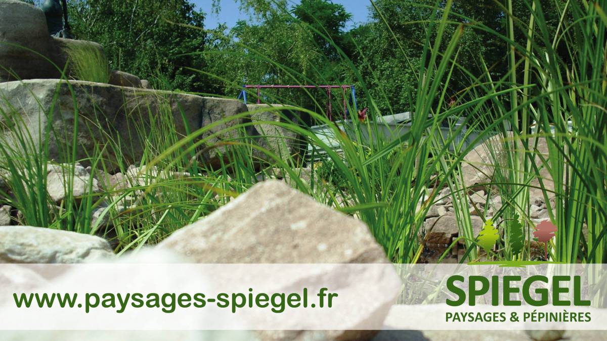 PAYSAGES SPIEGEL121 1 | Paysages Spiegel Création de bassins à poissons à Sélestat et Colmar Wintzenheim
