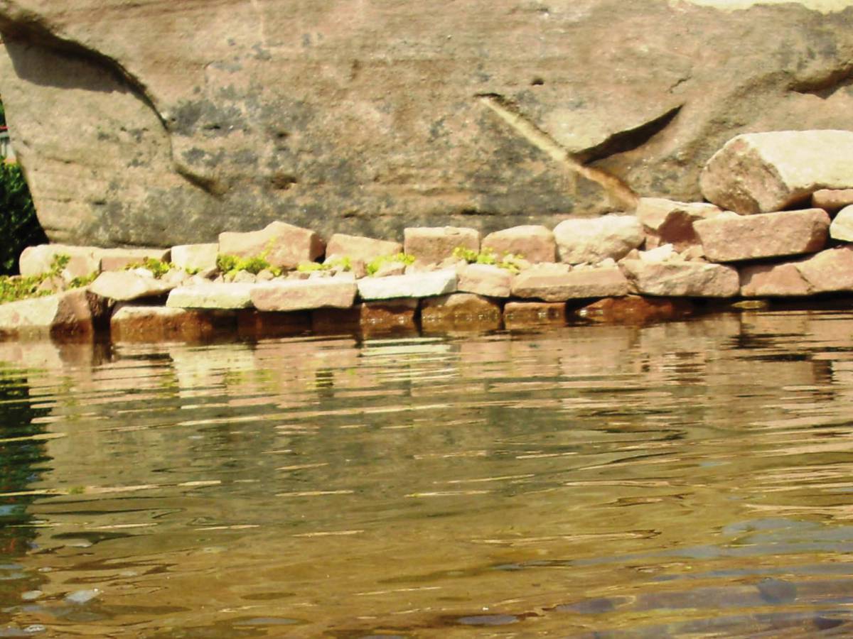 Bassin &agrave; poissons entre S&eacute;lestat et Colmar Saint-Di&eacute;-des-Vosges