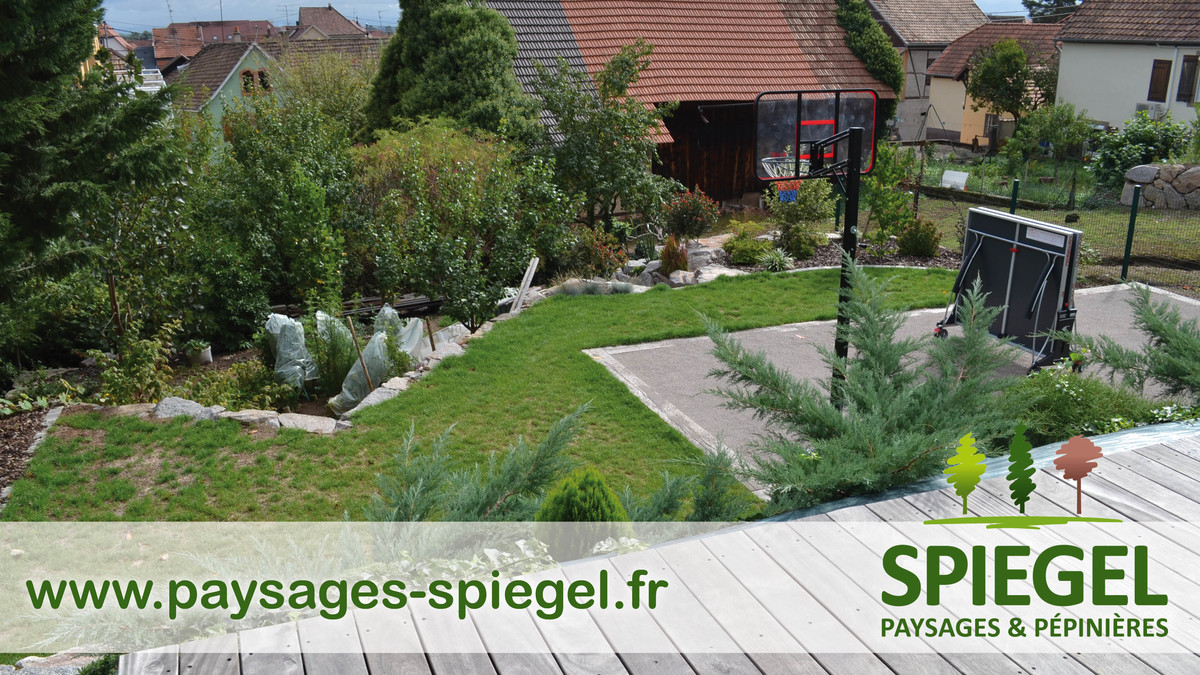PAYSAGES SPIEGEL131 | Paysages Spiegel Paysagiste dans le ried et en Alsace centrale – Paysages Spiegel Barr 2