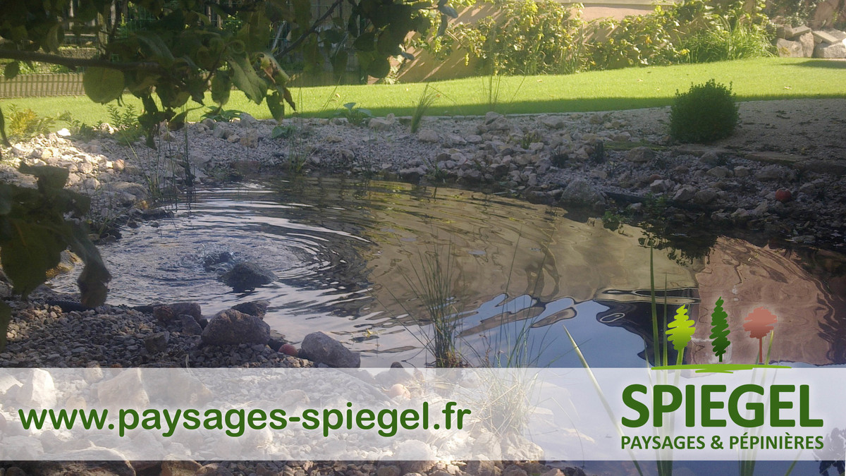 PAYSAGES SPIEGEL226 | Paysages Spiegel Paysagiste dans le ried et en Alsace centrale – Paysages Spiegel Sélestat 5