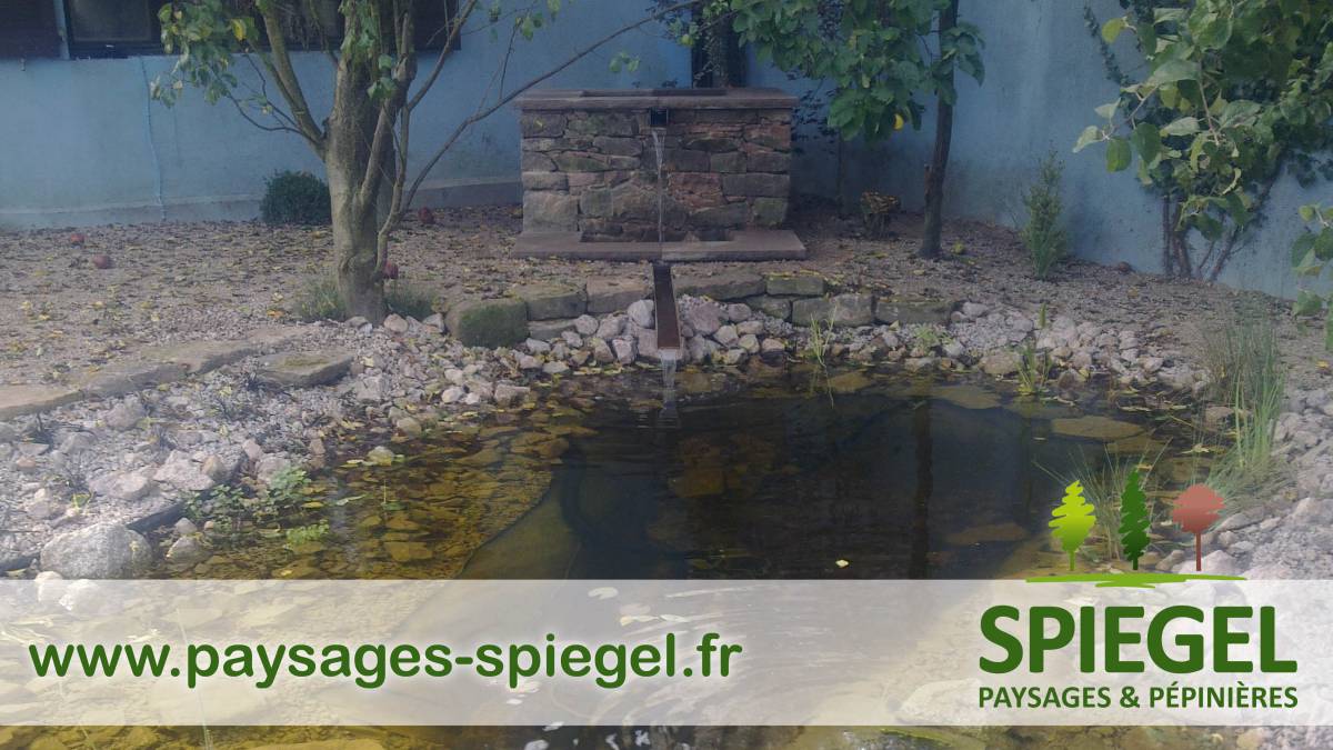 PAYSAGES SPIEGEL228 1 | Paysages Spiegel Bassin à poissons entre Sélestat et Colmar Soultz-Haut-Rhin 3