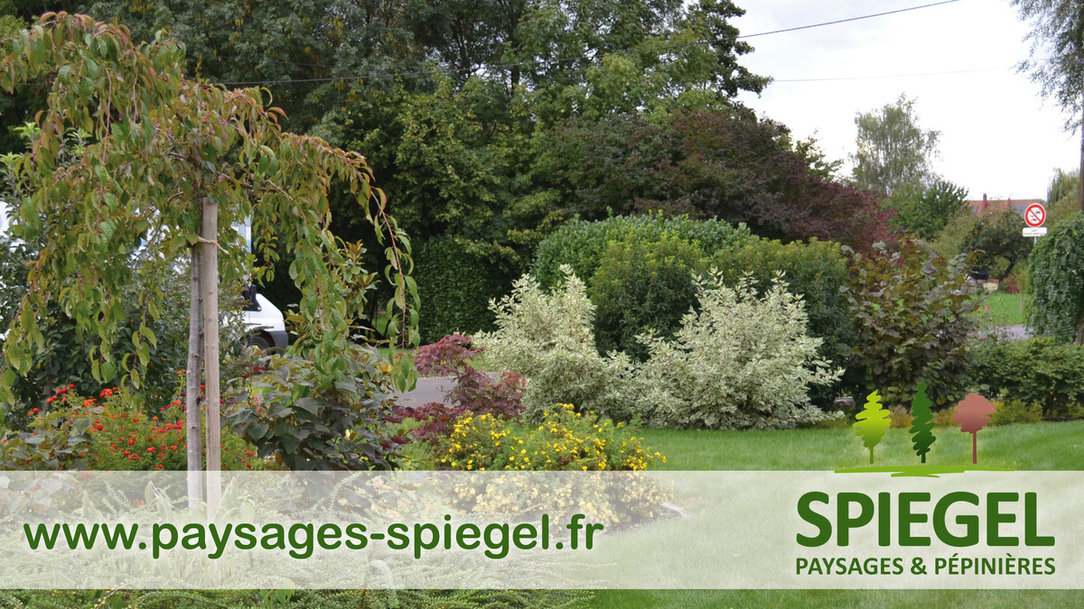 PAYSAGES SPIEGEL63 | Paysages Spiegel Création de paysage près de Sélestat et Colmar Obernai 1