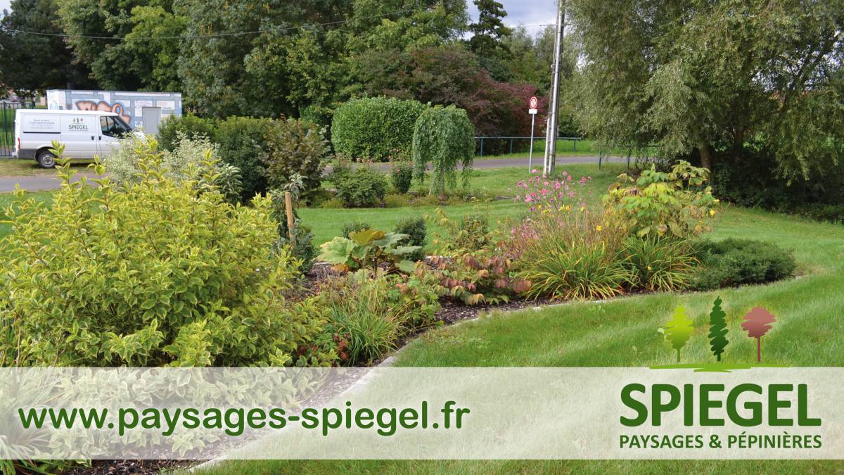 PAYSAGES SPIEGEL77 2 | Paysages Spiegel Entretien de jardin près de Sélestat (67) Sélestat 1