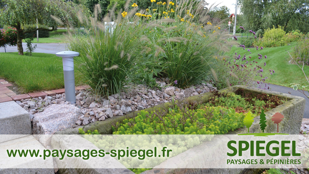 PAYSAGES SPIEGEL88 | Paysages Spiegel Création de paysage près de Sélestat et Colmar Wintzenheim 0